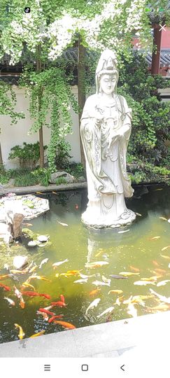 婷婷💕求过月底任务主播照片