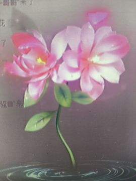 晴儿21主播照片