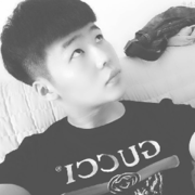 飞翔的大鹅