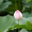 杰杰f7*