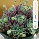 陈晨2!h的头像