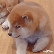 ~挂机~