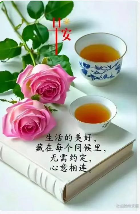 安念念主播图片
