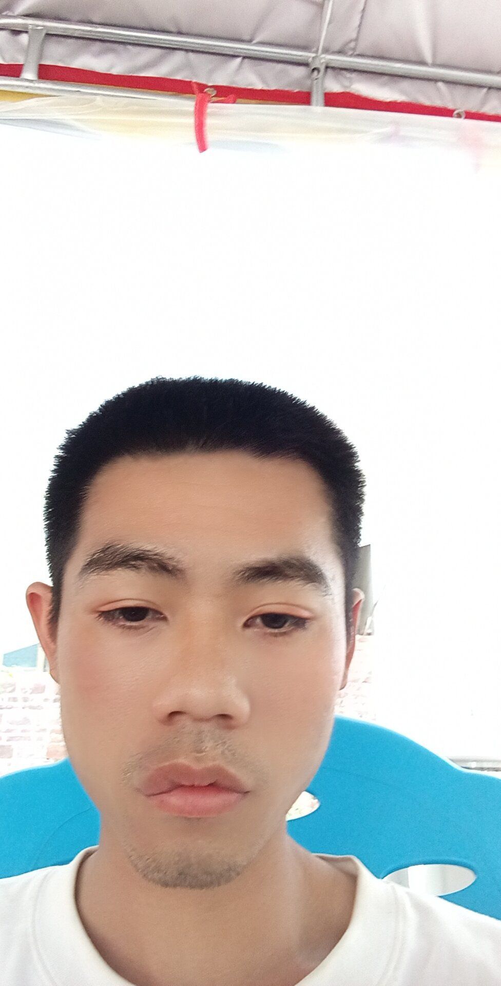 自驾游的变形蛙.的图片
