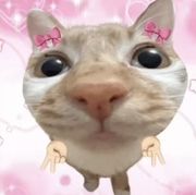 来米🙈