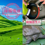 深绿色爱情