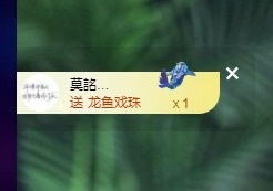 许华峰（努力版）主播照片