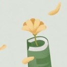 杨桂侠