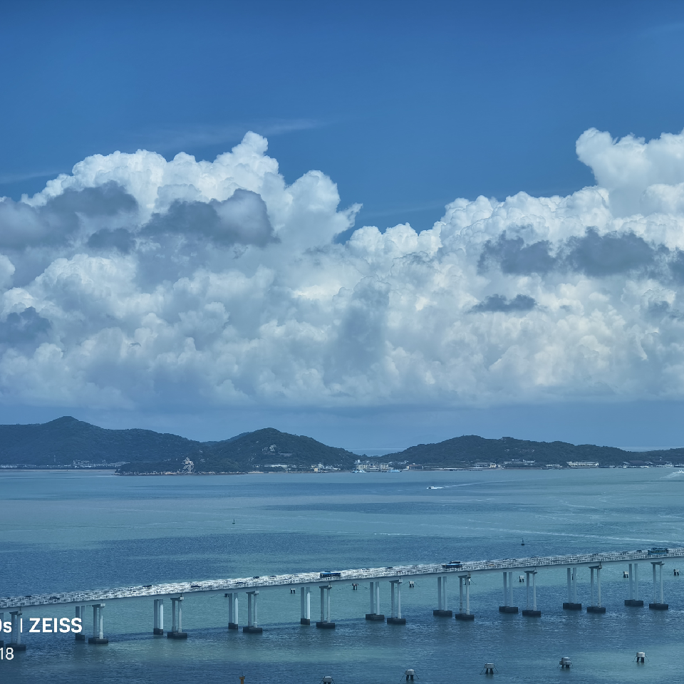 XZY520海报