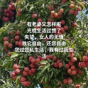 遇风飘