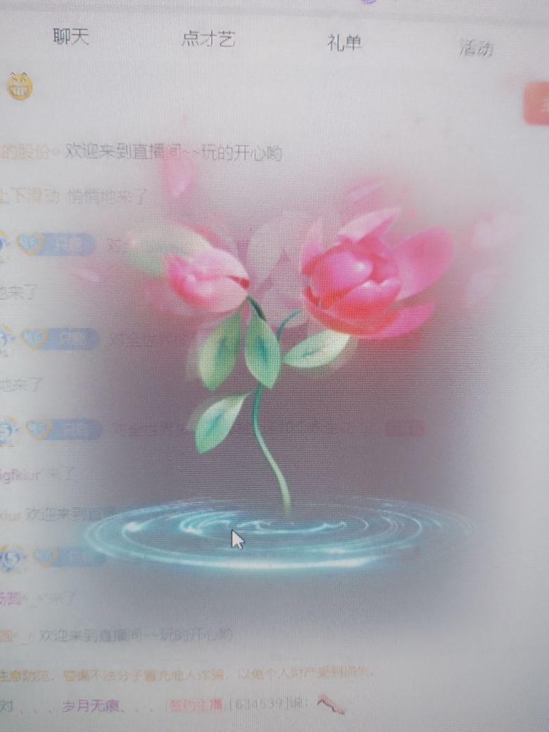养只鹿主播图片