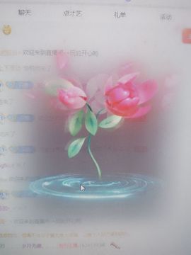 养只鹿的图片