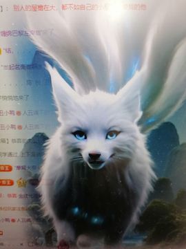 丑小鸭💞没有人疼我主播照片