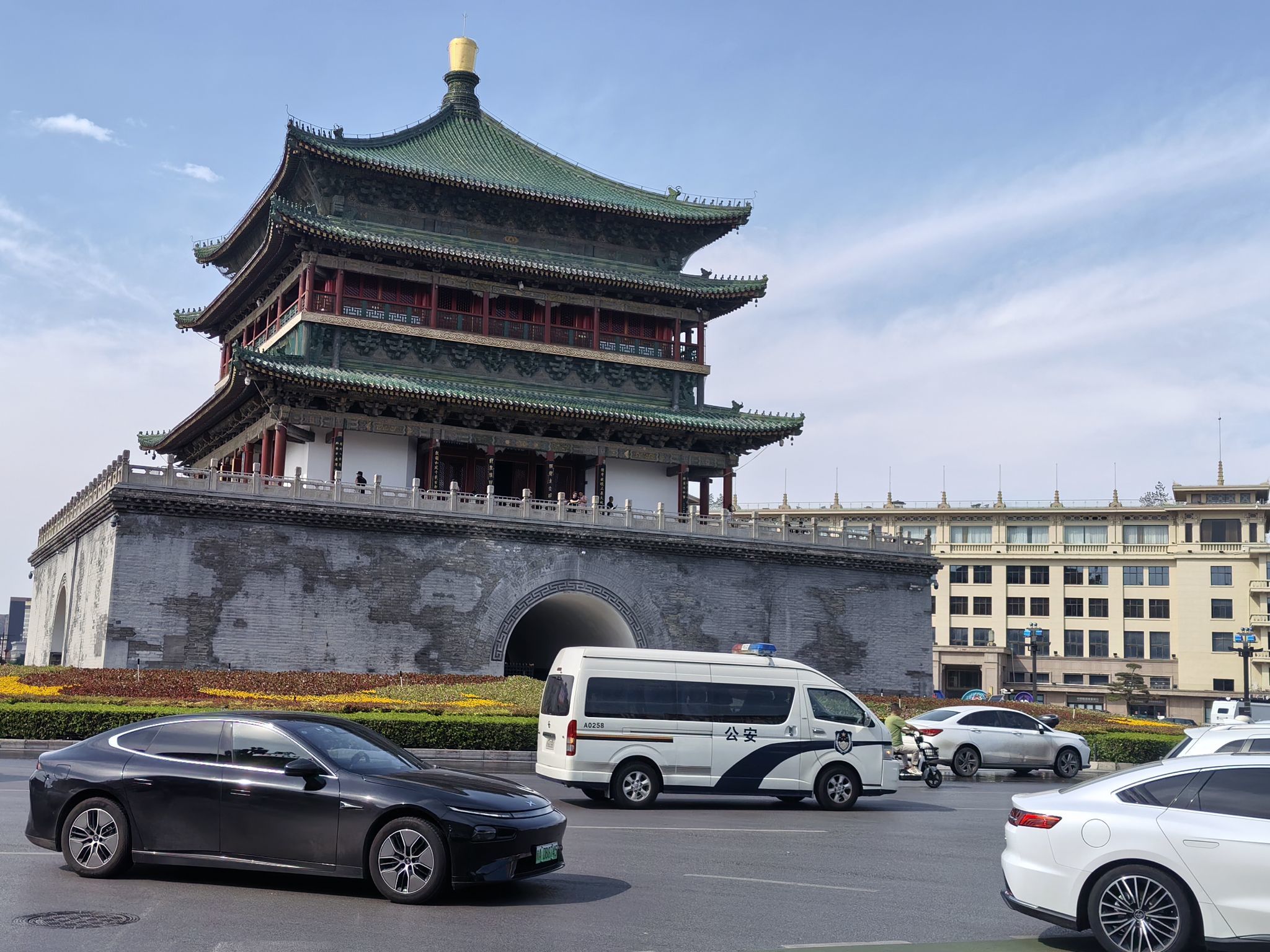 龙飞雁的图片
