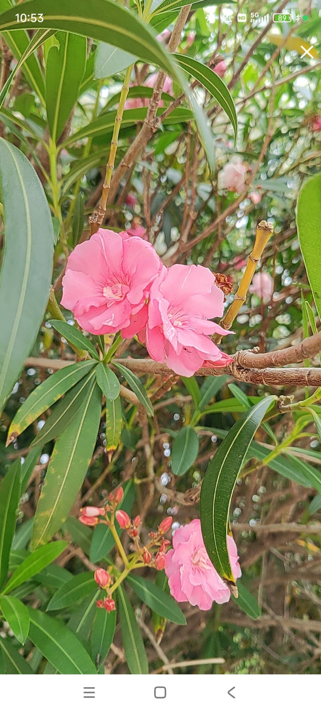 婷💕求过月底任务的图片