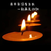 曼珠沙华，彼岸花开