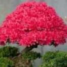 ，隆兴衣坊北京街48