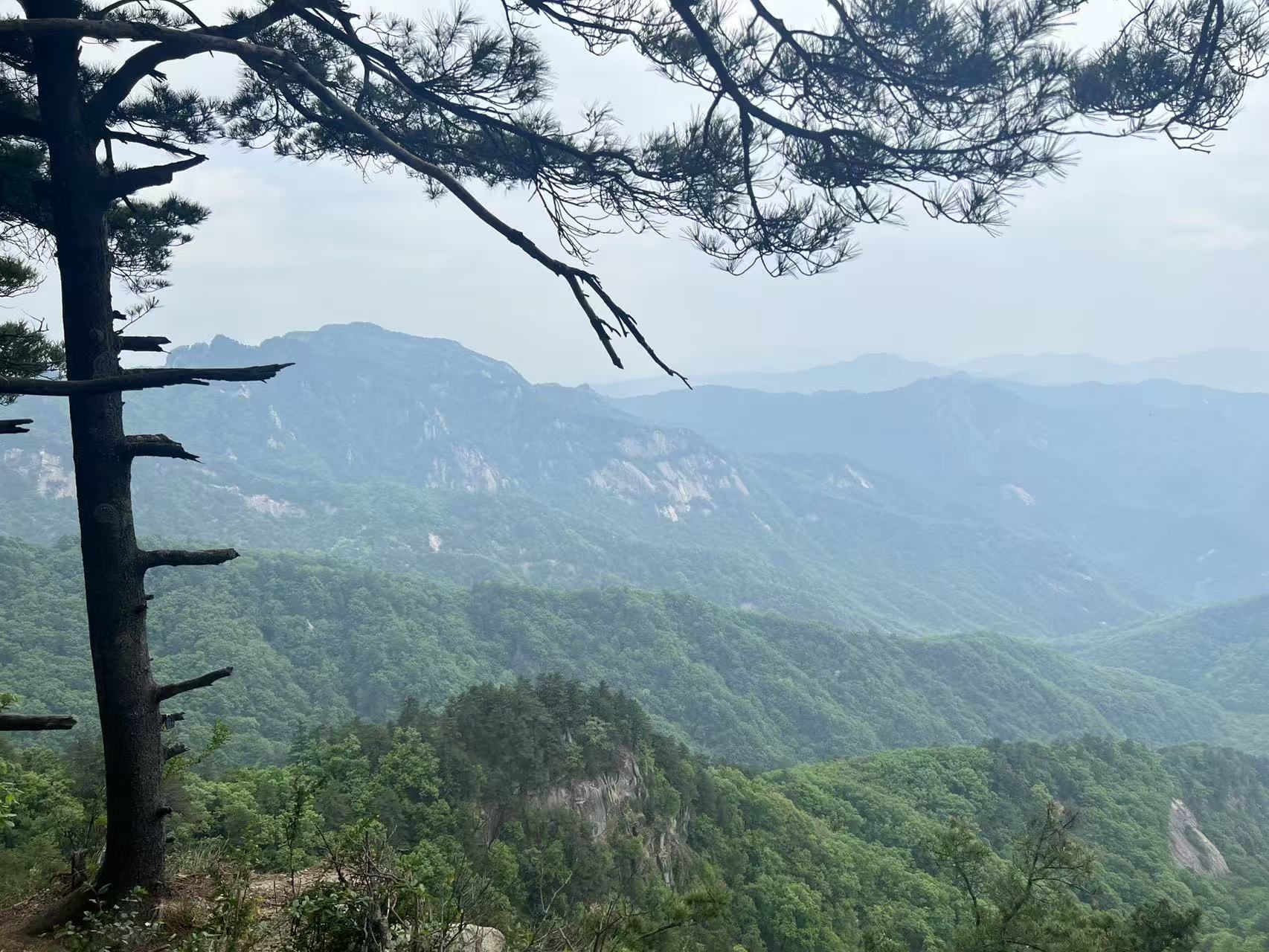 周周吖う主播图片