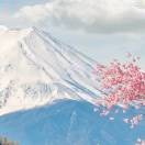 花開富貴noz的頭像