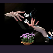 ❃萌萌哒