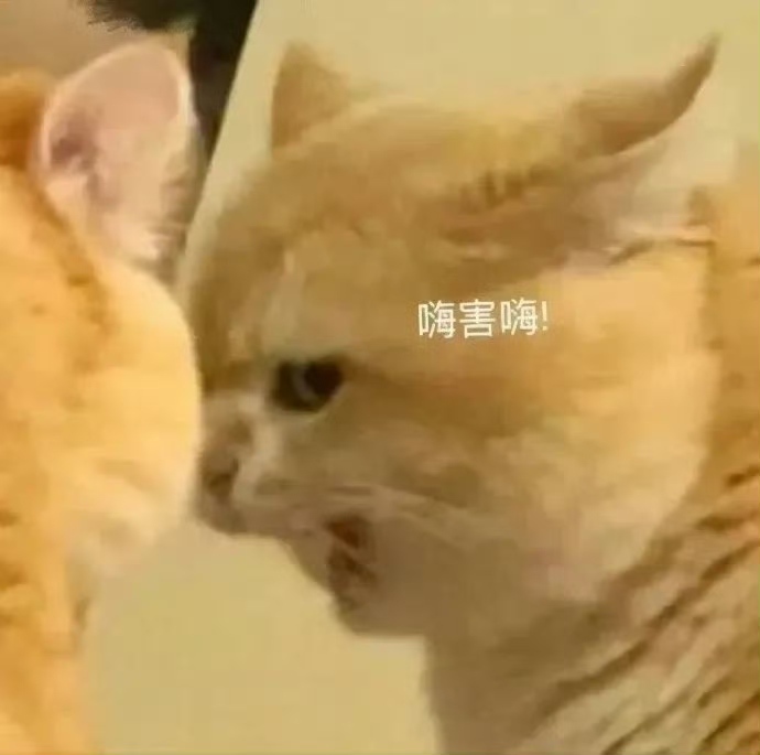 小雪碧休～主播图片