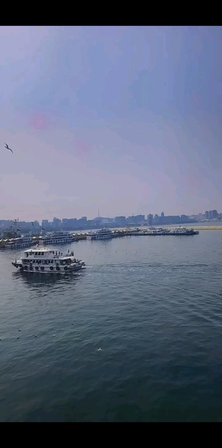 山东威海