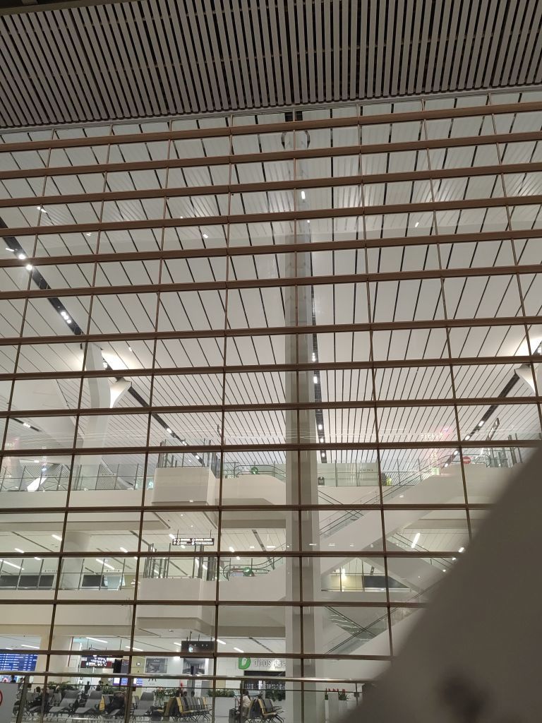 转身只为那一眼红颜的图片