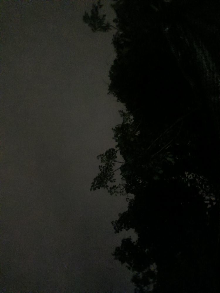 夜【幕】主播图片