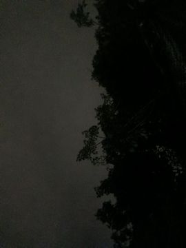 夜【幕】主播照片