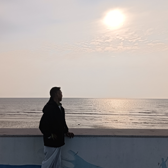 12459hnqs*海报