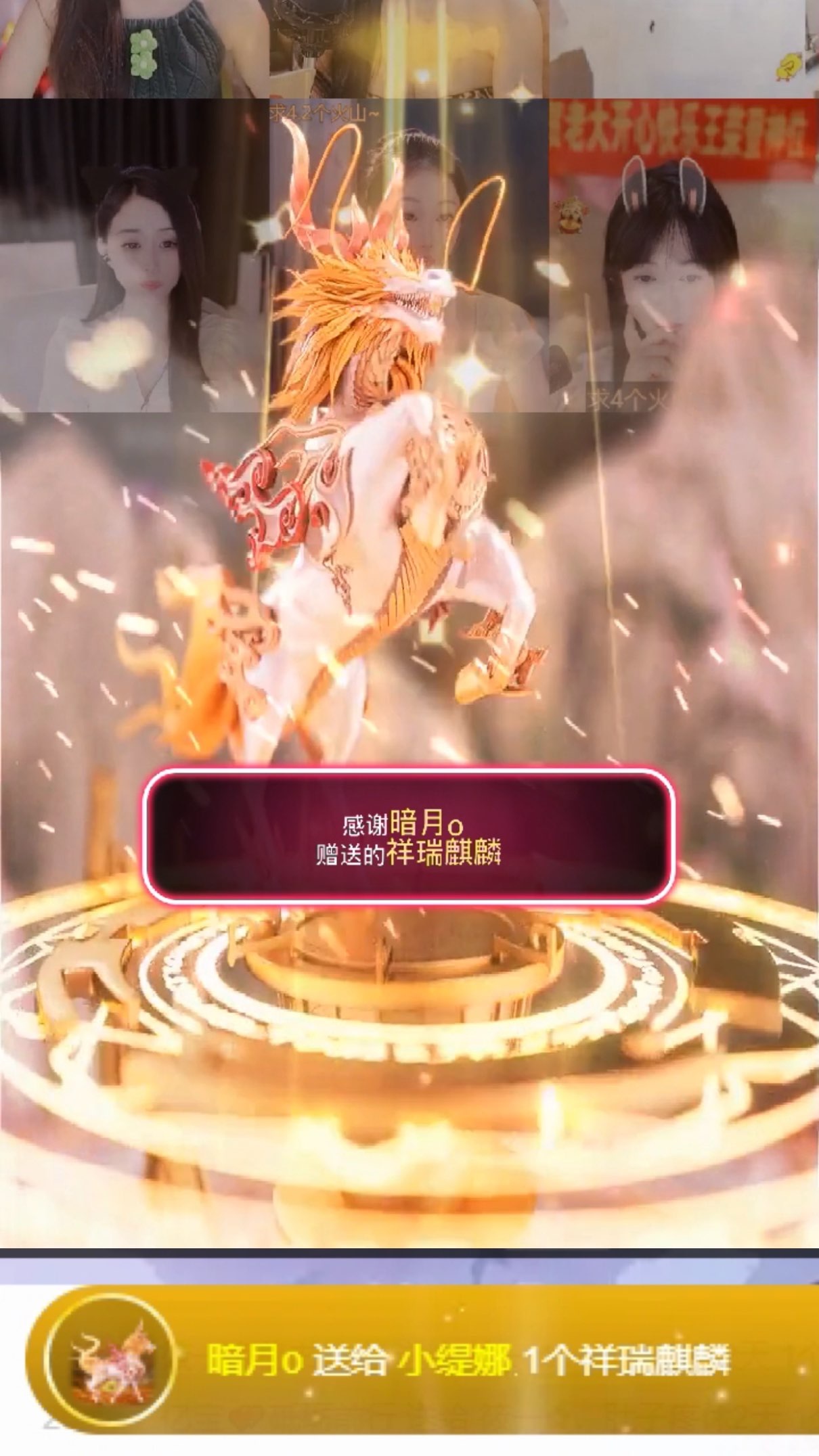 小缇娜的图片