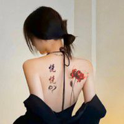 MobA27051P