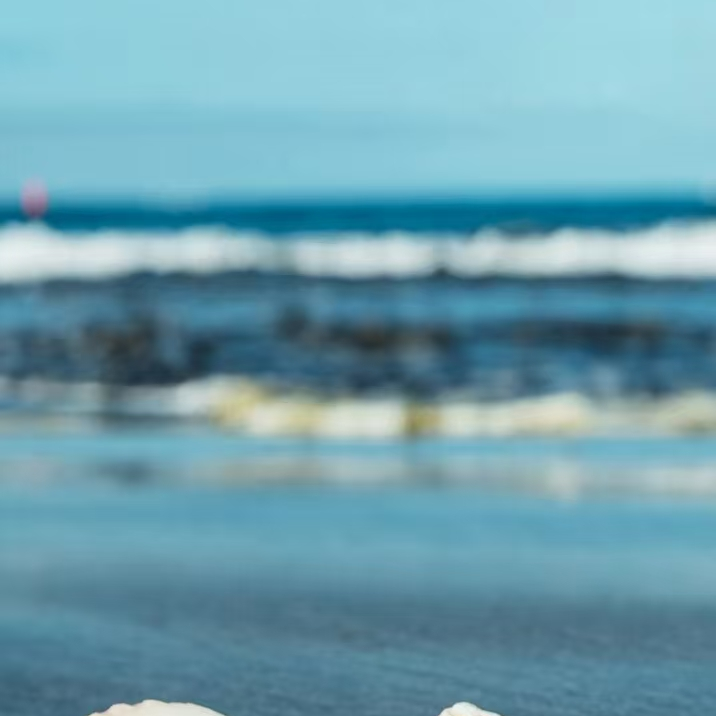 生活的大哥海报