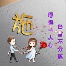 56afgiknr*的头像