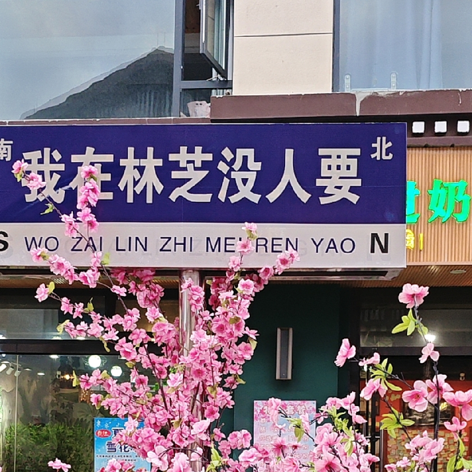 柳无尘海报