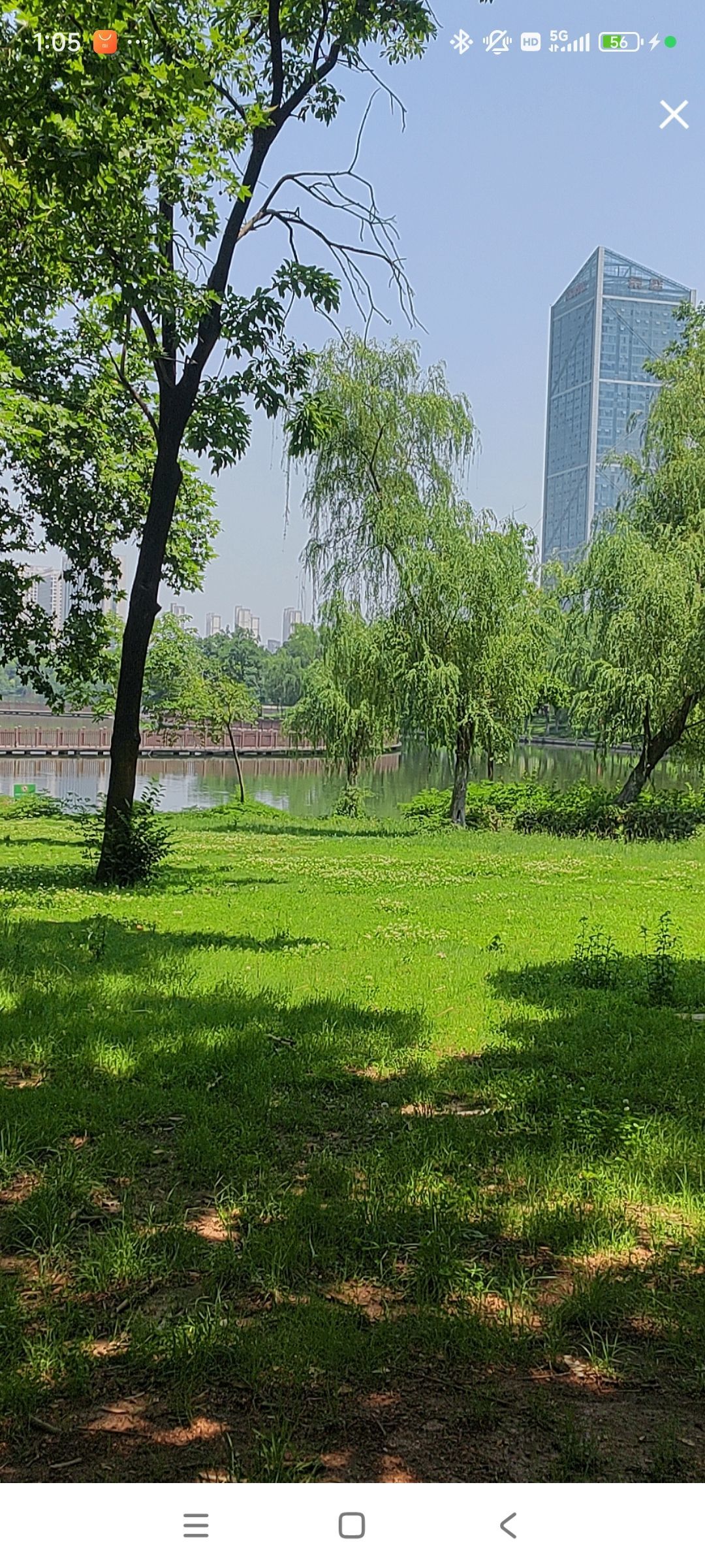 婷婷💕感恩有你陪伴主播图片