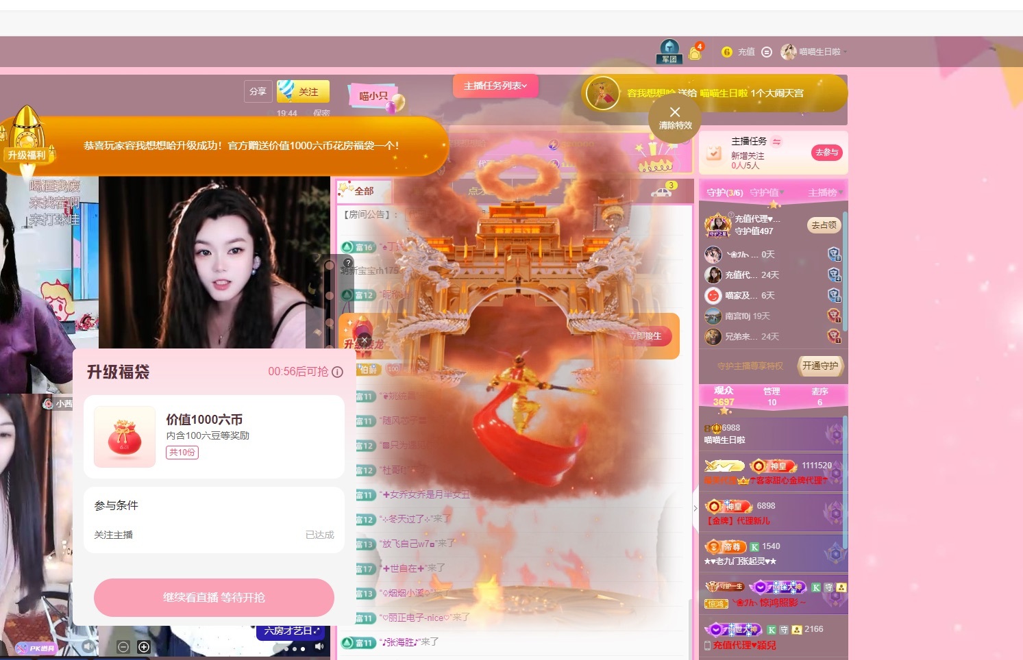 Lily喵的图片