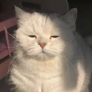 旅游的复变甲♪