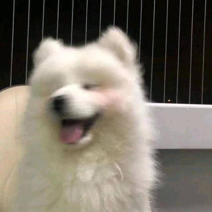 健壮猫头鹰。海报