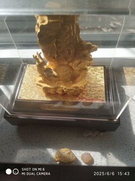编-终主播照片