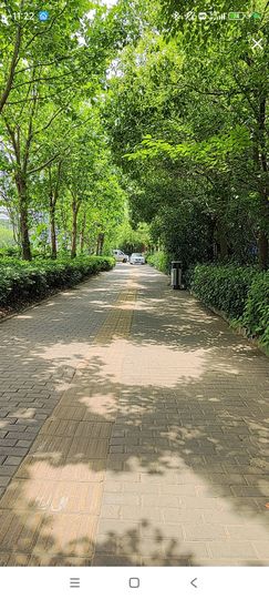 婷婷💕求过月底任务主播照片