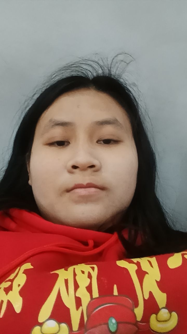 看小说的雪貂。的图片