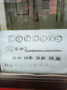 雷家小飞机的图片