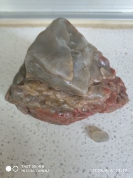 编-终主播照片