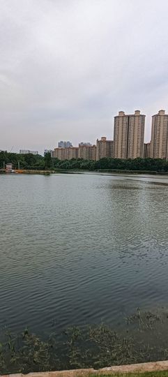 傲世_天下主播照片