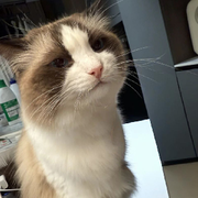 独宠💞