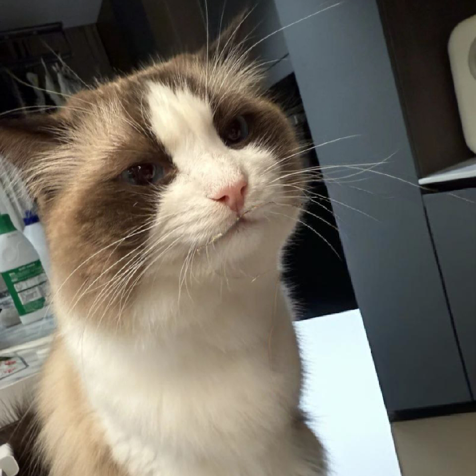 独宠💞海报