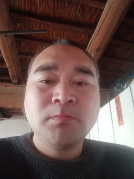 紫龙星※的图片