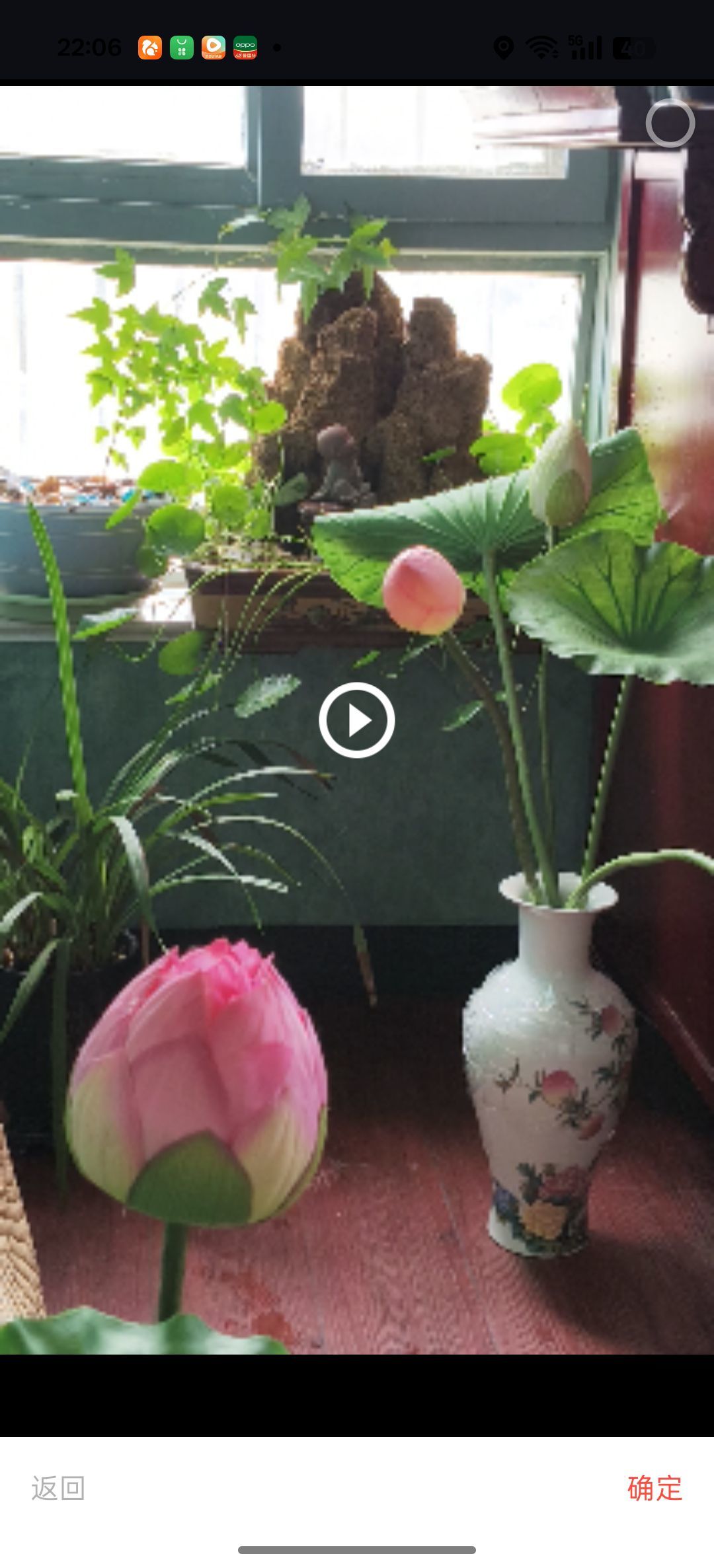 牡丹6万🌹金牌代理的图片