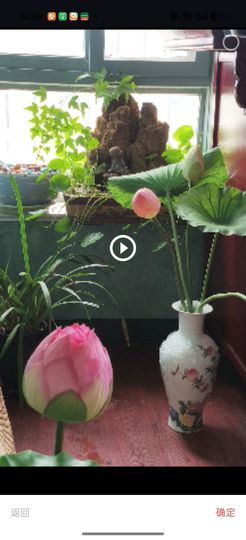 牡丹6万🌹金牌代理主播照片